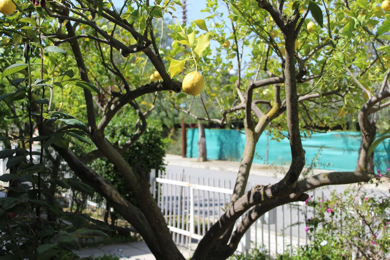 Tseri 科斯塔斯艾科森旅馆旅舍 外观 照片